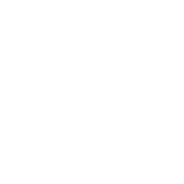 daily-report